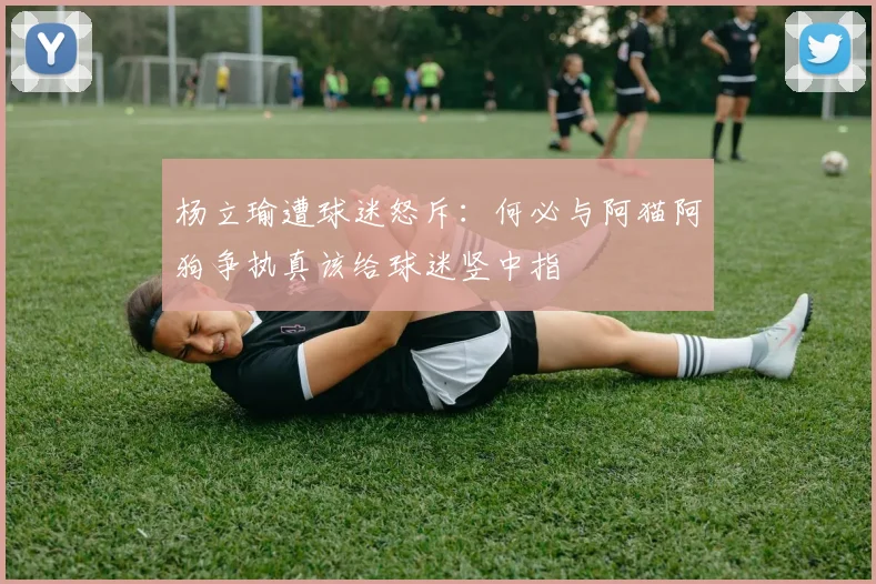 杨立瑜遭球迷怒斥：何必与阿猫阿狗争执真该给球迷竖中指