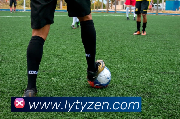 乐鱼体育全站App